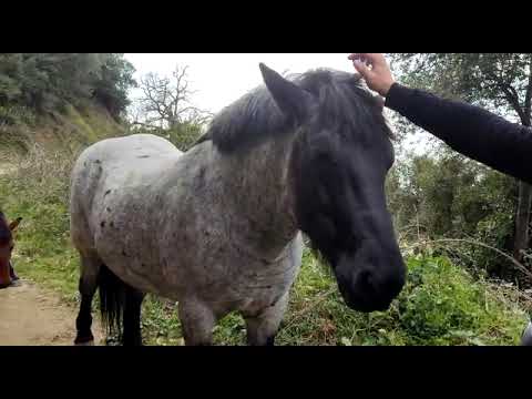 Группа 13 - 20 Февраля 2022