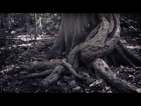 Return Trip Effect - Interconnected