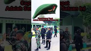 Download lagu RAIDER (Cepat, Senyap, Tepat) 💪🇮🇩 #tni #tniad #raider mp3