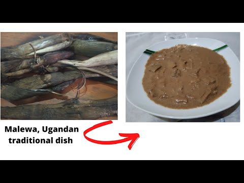 cooking Malewa a Ugandan traditional dish from bamboo shoots.