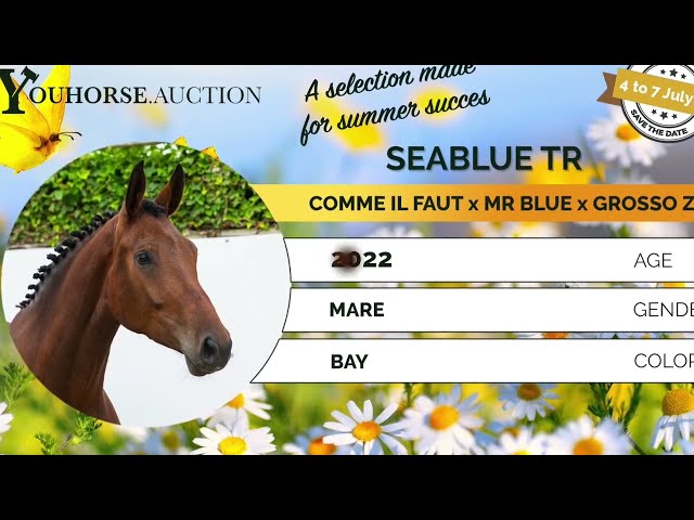 Seablue flatwork video