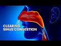 Sinus Relief Music: Healing Frequency for Nasal Congestion