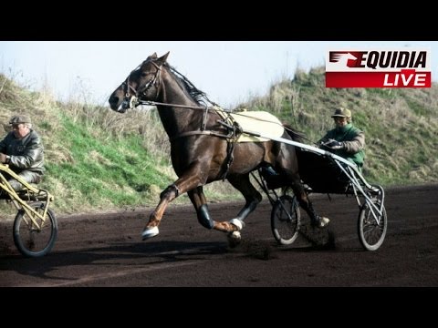 PRIX D'AMÉRIQUE 1987 : OURASI, 2EME VICTOIRE CONSÉCUTIVE !
