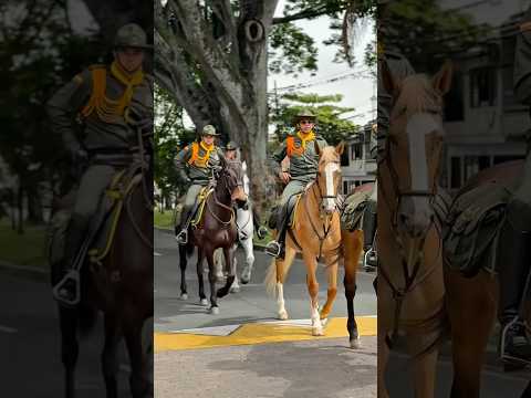 #seguridadpalmira con la #rutacarabinera que brinda mayor seguridad
