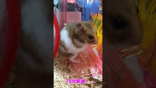 我が家の主はビビりなんです。。。