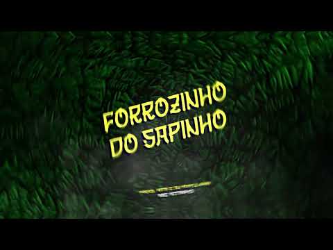 FORROZINHO DO SAPINHO - MC KITINHO (MTS NO BEAT E DJ RAYLLAN)