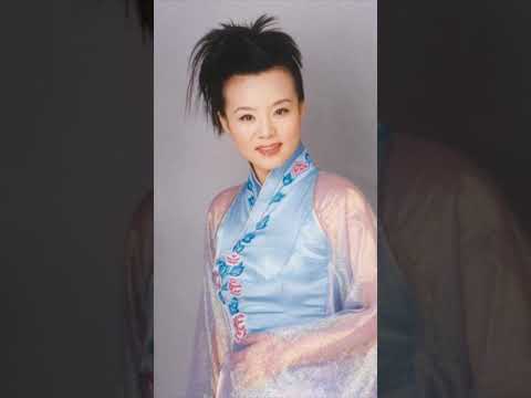 神曲女王龚琳娜，长得像乐嘉