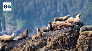 Kenai Fjords National Park