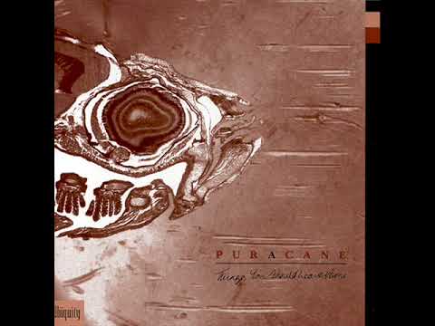 Puracane  - Things You Should Leave Alone (2000)
