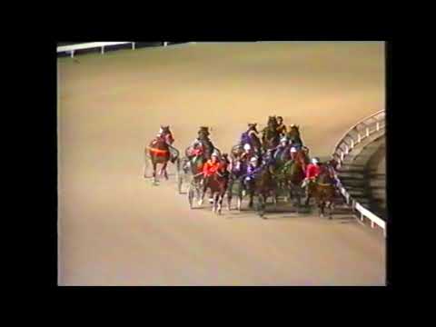 Late Bid - Albion Pk 030695