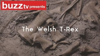 The Welsh T-Rex