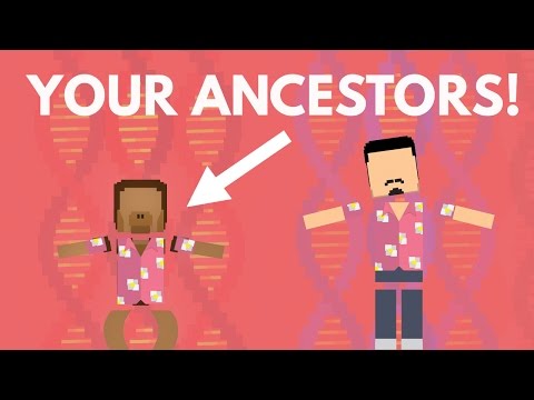 How Different Are You From Ancient Humans?