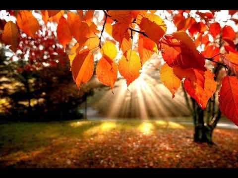 Way Out West - The Fall (Beetseekers Remix)