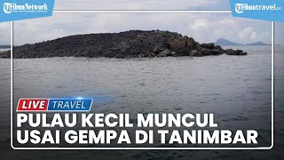 Pulau Kecil Muncul usai Gempa di Perairan Kepulauan Tanimbar, Pertanda Apa?