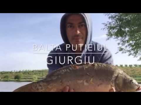 Cativa crapi frumosi