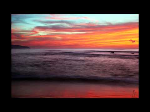 download lagu mp3 mp4 Shells The Surfers, download mp3 Shells The Surfers free downloadn, video klip Shells The Surfers
