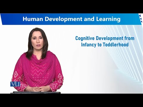 Cognitive Development from Infancy to Toddlerhood | Human Development and Learning | EDU302 Topic020