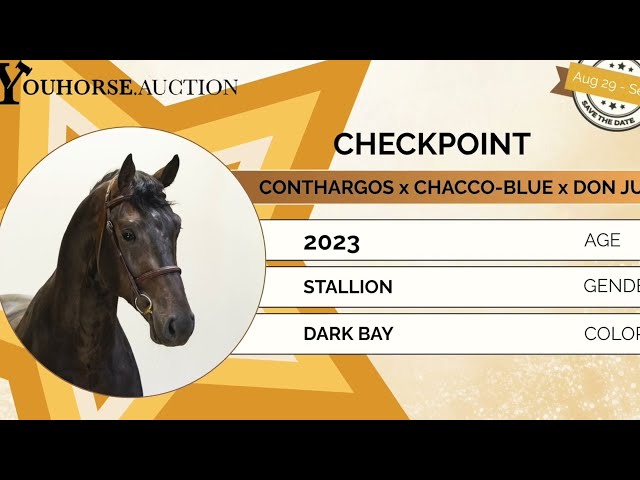 Checkpoint flatwork video