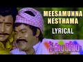 Sneham Kosam Movie Song Chiramjeevi Vijayashanti