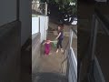 Wave To The Camera Wave Fail Funny Shorts