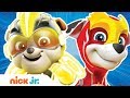 PAW Patrol Mighty Pups Charged Up Ep 3 Nick Jr