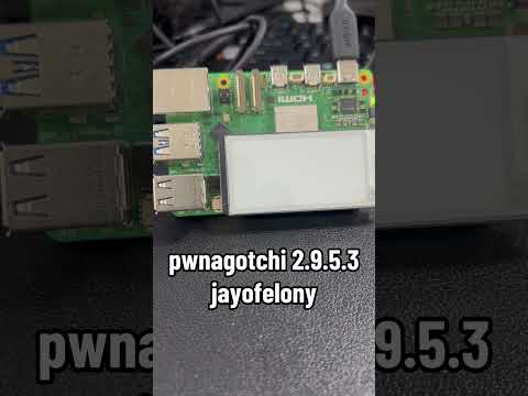 Raspberry Pi 5 and Waveshare e-Paper with updated Pwnagotchi firmware! 🖥️ #TechExplore #DIYProjects
