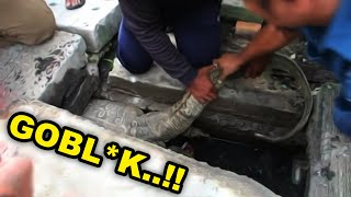 Download lagu MALAH NYUSAHIN..!! Udah Nyusahin Diri Sendiri plus Nyusahin Orang Juga.!! Dasar Hewan..!! #YtCrash mp3