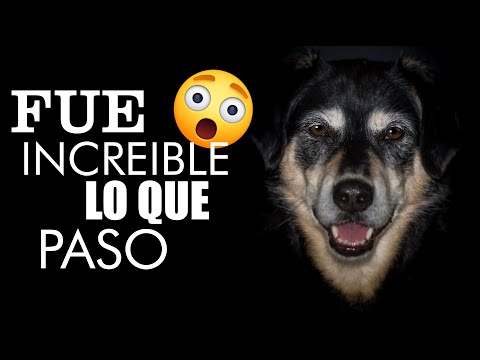 UNA HISTORIA PARANORMAL UNICA -🔴  nervustrack