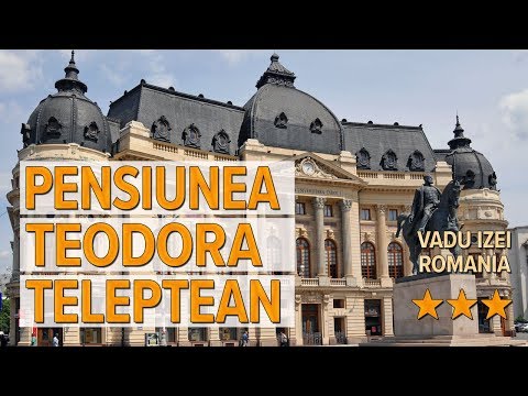 Pensiunea Teodora Teleptean hotel review | Hotels in Vadu Izei | Romanian Hotels