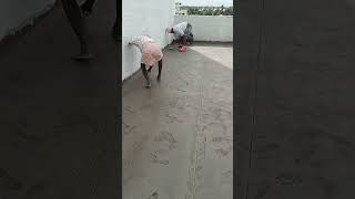Amazing Roof Flooring Work  Ideas using MSand and Cement