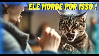 Por que meu GATO me MORDE ? Desvendando os MISTÉRIOS  por trás das mordidinhas felinas! 🐱🤔