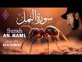 🕊️ سورة النمل بصوت مؤثر يلامس القلب | Surah An-Naml – Cheikh Bilal Darbali 🎧