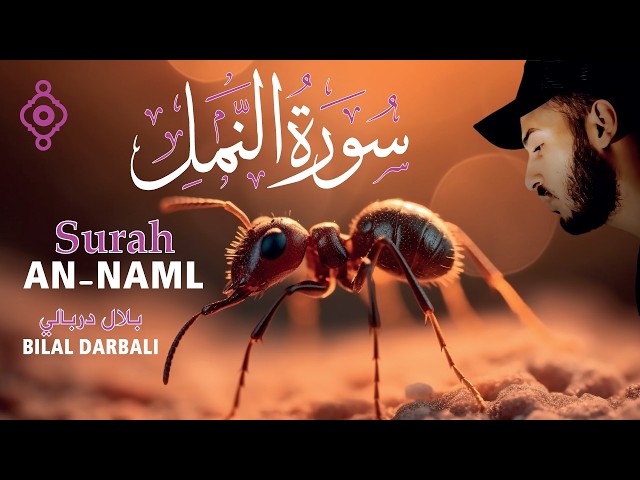 🕊️ سورة النمل بصوت مؤثر يلامس القلب | Surah An-Naml – Cheikh Bilal Darbali 🎧