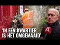 Het kleinste park van Amsterdam is niet meer