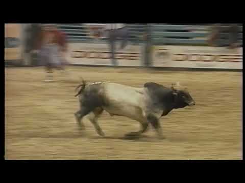 Cowtown Jr bucks Charles Litchfield - 97 PBR Finals
