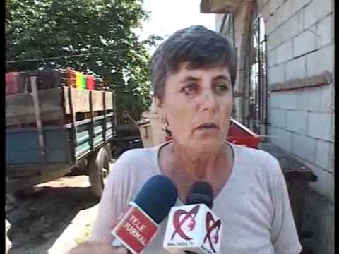 Vijelie Lunguletu 21 iulie 2011