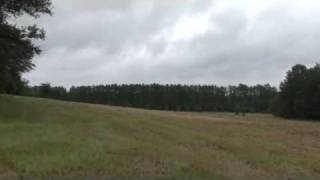 Georgia Mansion Auction 60  Acres