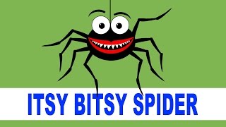 Itsy Bitsy Spider | Nursery Rhymes