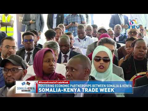 A deep dive into real estate: Kenya - Somalia Trade Week
