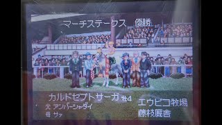 我が牧場初の白毛馬の軌跡 #ダビスタアドバンス