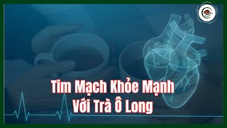 Tim Mạch Khỏe Mạnh Với Một Tách Trà Oolong Hằng Ngày