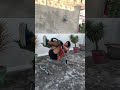 Ab King Pro Fitness Shorts Shortvideo Workout
