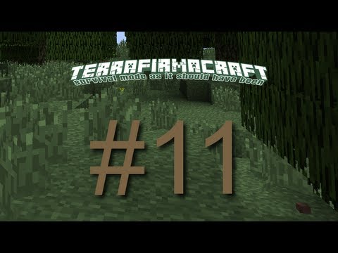 TerraFirmaCraft Ep 11 - Nothing