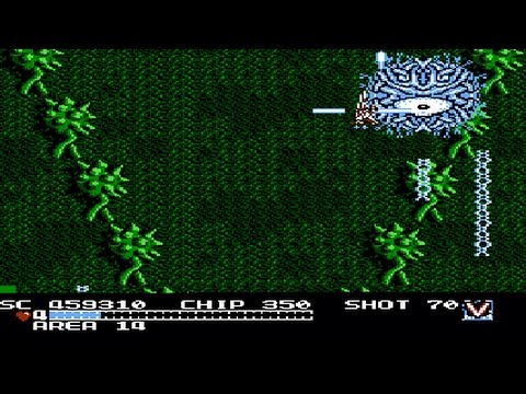 The Guardian Legend : Secret Edition - NES Longplay (Corridor Rush)