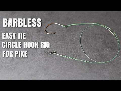 Easy Tie Barbless Circle Hook Rig For Pike