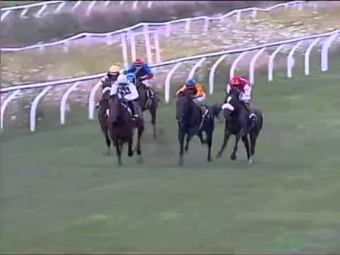 Galoppo 02/08/2014 - Corsa 1