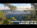 Real Unedited Nature Sounds Of The Australian Bush For Relaxation Meditation Dog TV