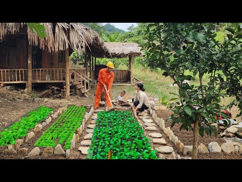 Kind Electrical Engineer Helps Single Mom Build a Vegetable Garden