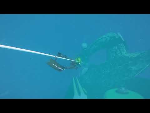 Pescasub : Spearfishing Arcipelago Toscano  30/05/2023