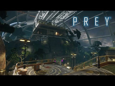 Making our way toward the arboretum | Prey playthrough
